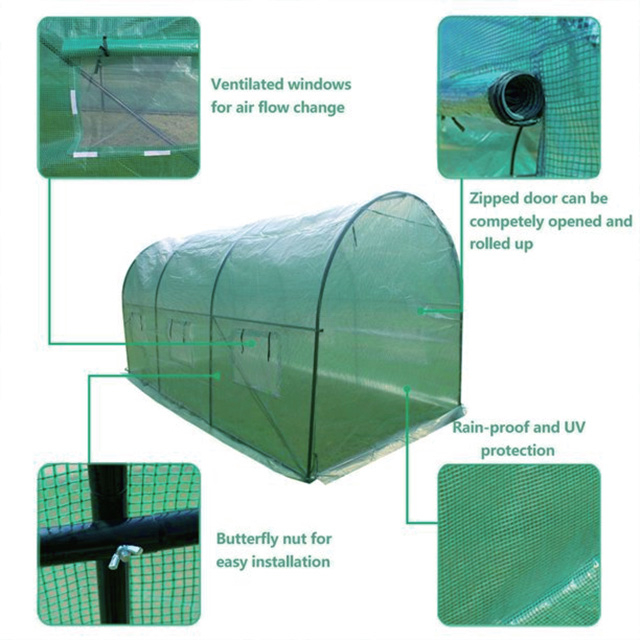 เดินเข้าไปใน Green House GT24009-1