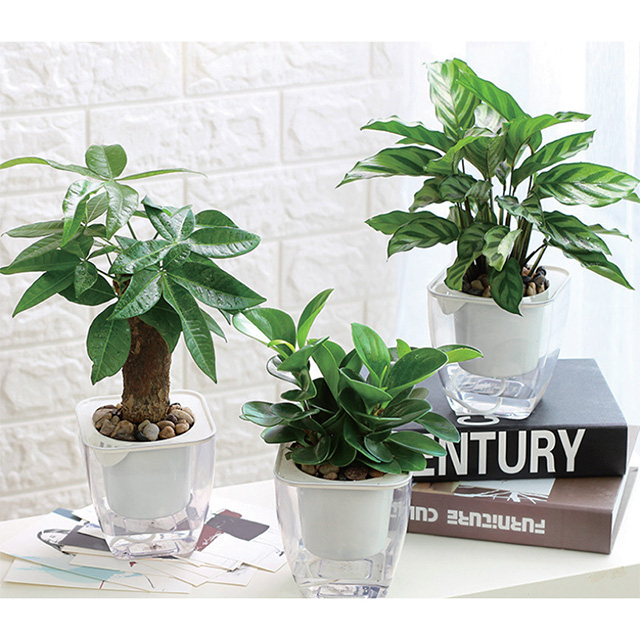 Self-priming Flower Pot GT14073