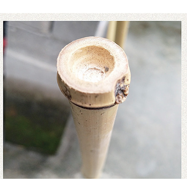 Bambu Graden Fence GT25152