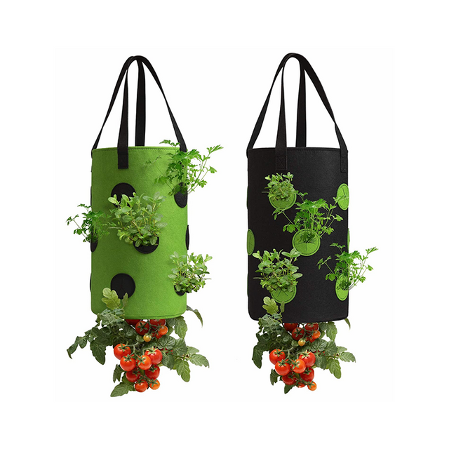 Tomato Grow Bags GT15044