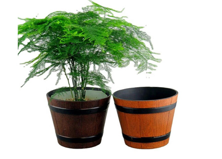 barrel planter