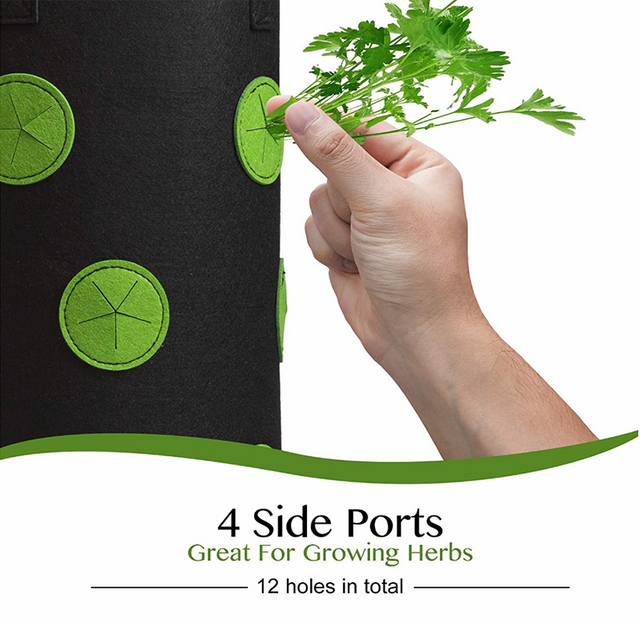 Tomato Grow Bags GT15044