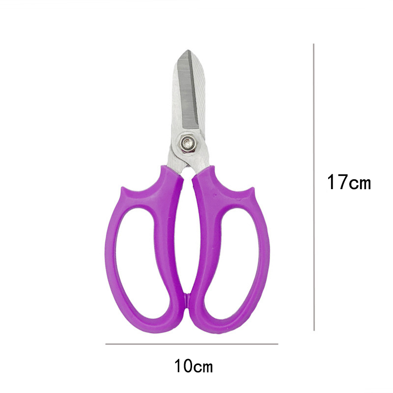 Rose Pruning Shears GT2124 - Hantechn